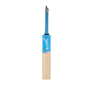 bat
